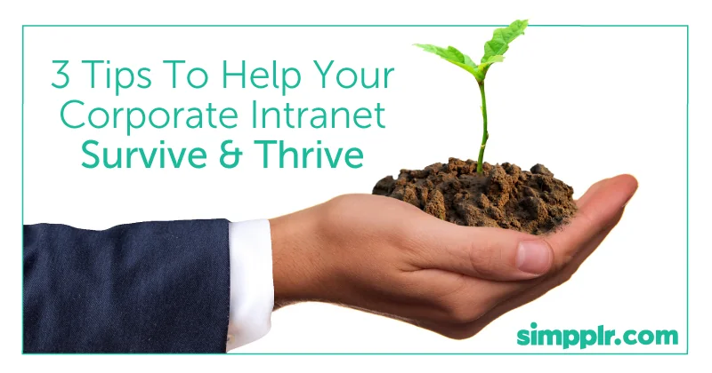 Corporate intranet - 3 Tips To Help Your Corporate Intranet Survive and Thrive