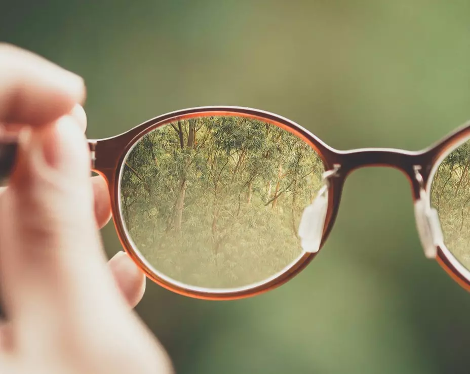 Effective communication in the workplace: a person holding glasses for a transparent view of the trees