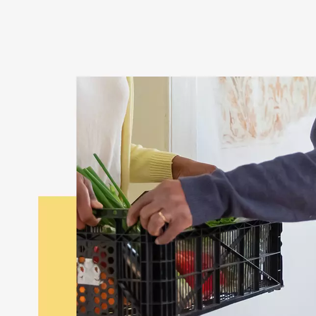 Employee experience - closeup of a grocery delivery in a black plastic basket